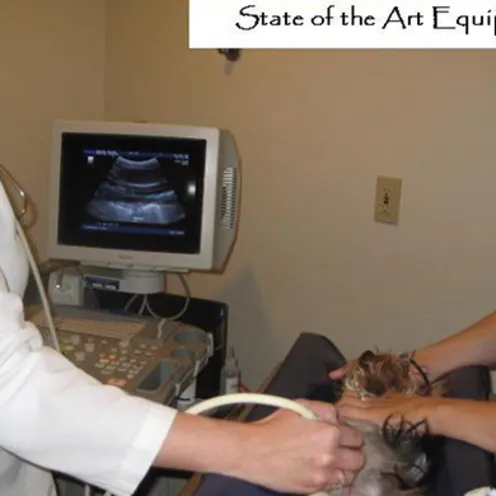 Merced Animal Medical Center Ultrasound